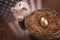 Golden Egg, Nest and Piggy Bank with American Flag Reflection