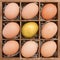 Golden egg among normal eggs in wooden box