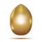 Golden Egg on White Background.