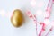 Golden egg on white background with pink branches with buds, easter background with copy space