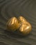 Golden Eggs