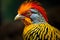 Golden Elegance: Captivating Close-Up of a Majestic Golden Pheasant.GenerativeAI.