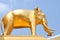 A golden elephant