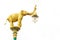 Golden elephant Electrical lamp pole