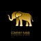 Golden elephant symbol