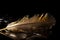 Golden ethereal bird feather on black background