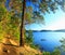 Golden Evening Light on Coastal Trail to Campbell Point at Bennett Bay, Gulf Islands National Park, British Columbia, Canada