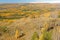 Golden fall in Ural mountain range
