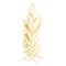 Golden feather graceful beautiful decoration isolated vector illustration