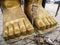 Golden feet of Buddha statue