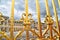 Golden Fence Of Versailles Palace Detail