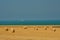 Golden field with cylindrical hay stacks on the French opal coast