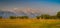 Golden fields at Grand Teton National Park, Wyoming