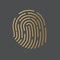 Golden fingerprint icon