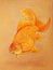 Golden fish - drawn graphic artistic illustration on craft paper