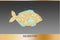 Golden Fish glitter Vector. glowing icon templates. Fish market symbol posters