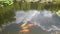 Golden fishes are swimming in pond with dark blue water and green plants. View from close up for the amazing colorful fishes movin