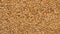 Golden flax seed background