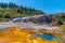 Golden Fleece silica terrace at Orakei Korako at New Zealand