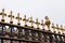 Golden fleur de Lis on the gates of Buckingham palace, London