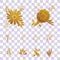 Golden flower and leaf ornament on isolated