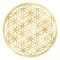 Golden Flower Of Life