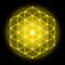 Golden Flower of Life on Black Background