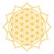 Golden Flower of Life with petals, Sacred Geometry pattern