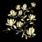 Golden Flowering Branch of Magnolia on black background vector illustration