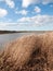 Golden flowing stunning reeds landscape country open plain