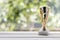 Golden football trophy, natural green blurred background. Sport success and achievement