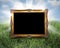 Golden frame in grass