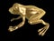 Golden frog