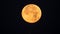 Golden full-moon during the penumbral lunar eclipse