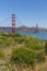 Golden Gate Bridge from Battery East Drive, San Francisco