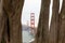 Golden Gate Bridge framed by Cypress Trees