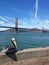Golden Gate Bridge with pelican