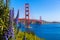 Golden Gate Bridge San Francisco purple flowers California