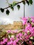 The Golden Gate Eastern Gate in the eastern wall of Jerusalem