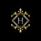 Golden Geometric Royal H Letter Logo