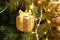 Golden gift box hanging on the branches of a Christmas tree, Christmas background with festive decorations.