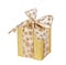 Golden gift wrapped present isolated