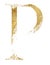 Golden glitter capital letter P with dispersion effect isolated illustration