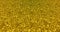 Golden glitter dust background for festival, party, event. Gold glamur texture Loop animation