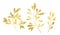Golden glitter floral elements. Set of ficus branches and leaves in shiny foil. Botanical floral illustration for modern