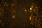 Golden glitter shiny particles lights abstract swirly bokeh