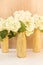 Golden glittered bottles with hydrangea flowers. White flowers in gold vases