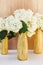 Golden glittered bottles with hydrangea flowers. White flowers in gold vases