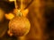 Golden glittering Christmas bauble close-up by blurred background