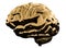 Golden glossy brain isolated on a white background. 3D illustration